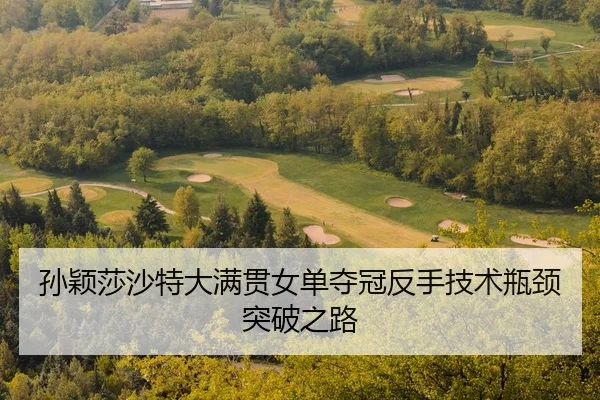 sun-ying-sha-sha-te-da-man-guan-nv-dan-duo-guan-fan-shou-ji-shu-ping-jing-tu-po-zhi-lu-2-529.jpg